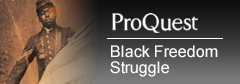 Logo for Black Freedom Struggle
